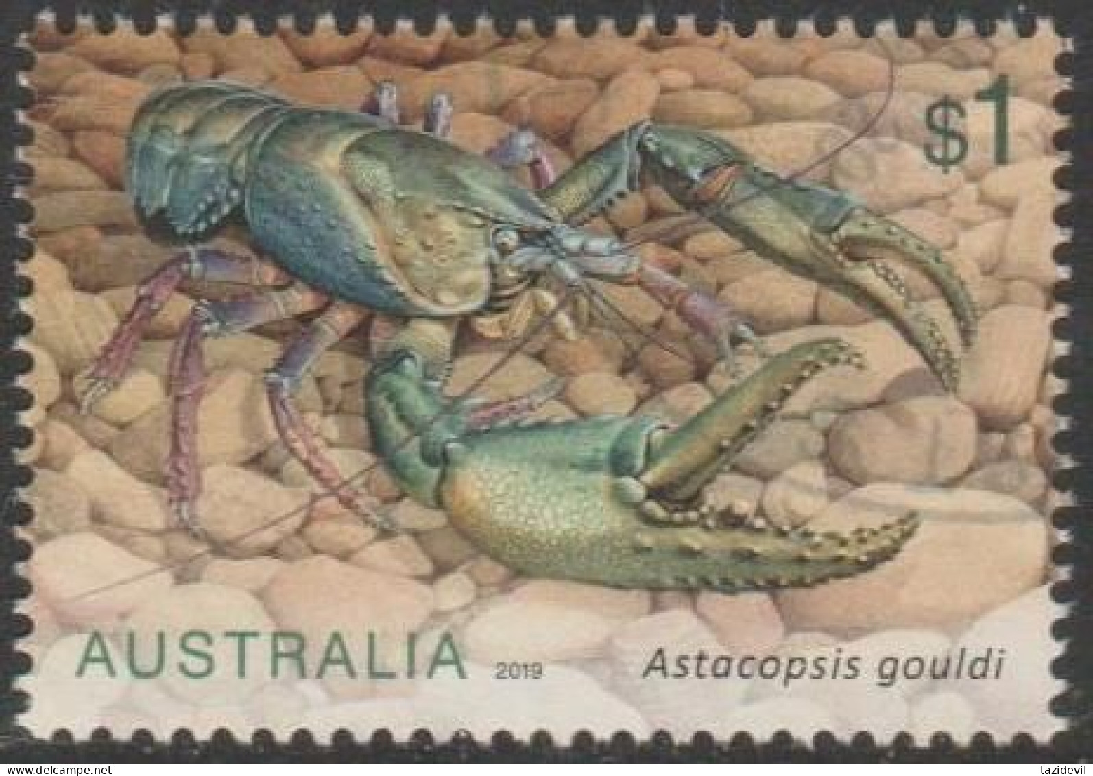 AUSTRALIA - USED - 2019 $1.00 Freshwater Crayfish - Marron - Used Stamps