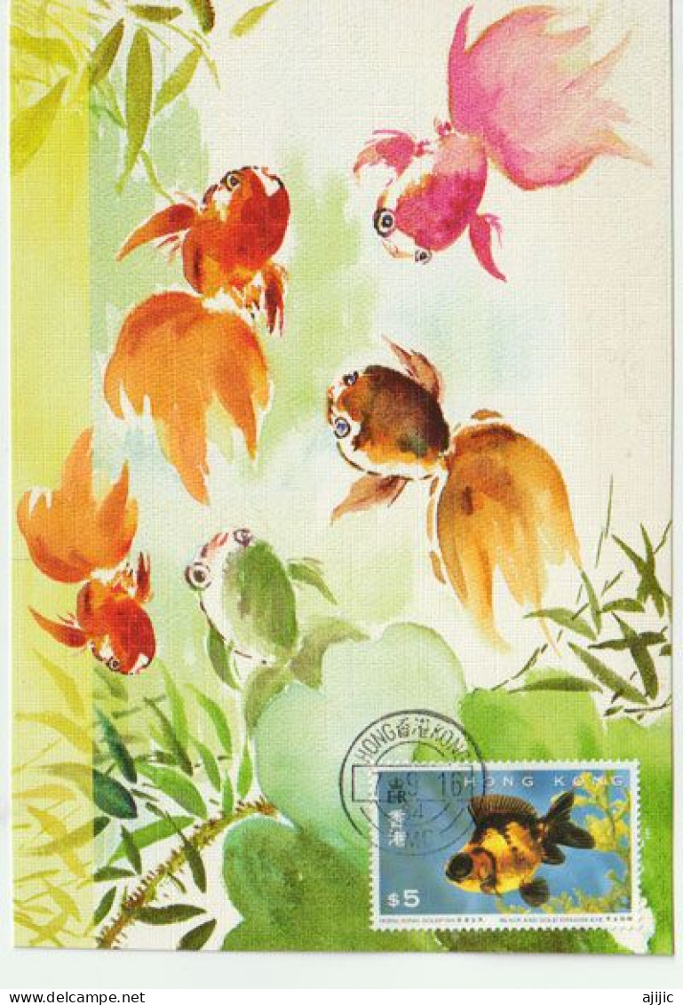 HONG-KONG Goldfish ,  Maximum-card - Maximumkaarten