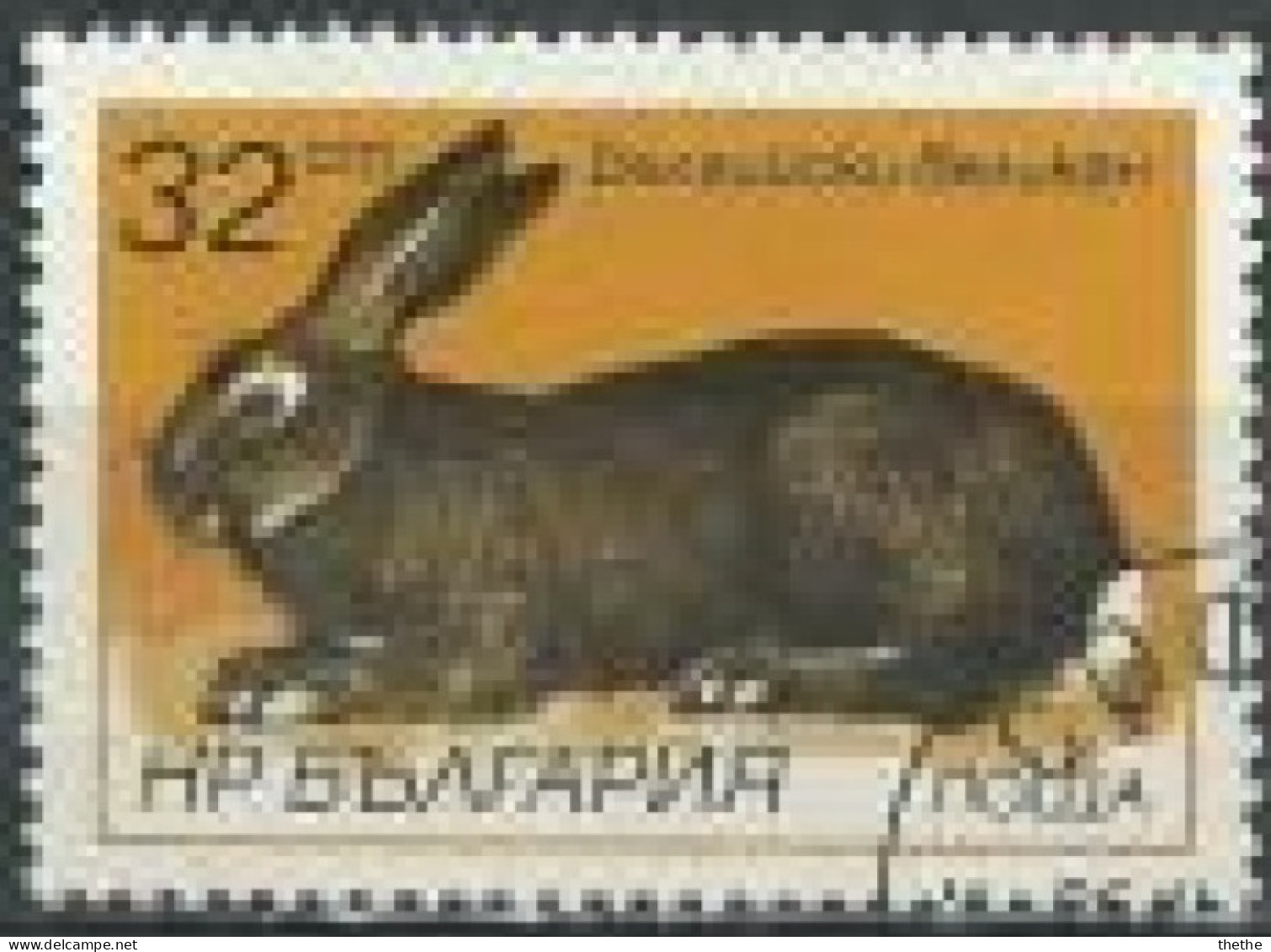 BULGARIE - Géant De Belgique (Oryctolagus Cuniculus Forma Domestica) - Lapins