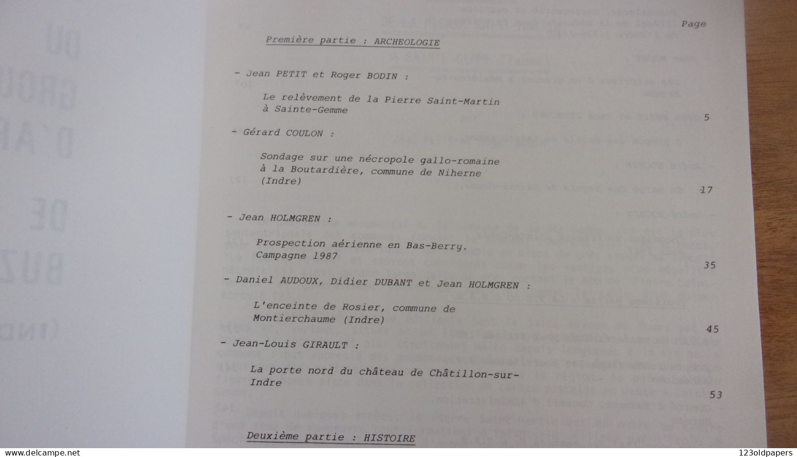 BERRY L'indre Et Son Passé Bulletin Du Groupe D'histoire Et D'archeologie De Buzancais  N19 1987 STE GEMME NIHERNE VENDO - Centre - Val De Loire