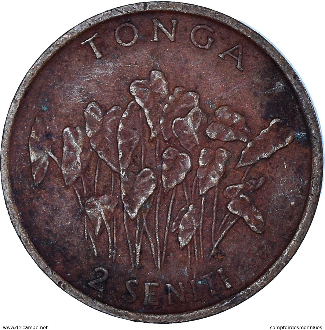 Monnaie, Tonga, 2 Seniti, 1990 - Tonga