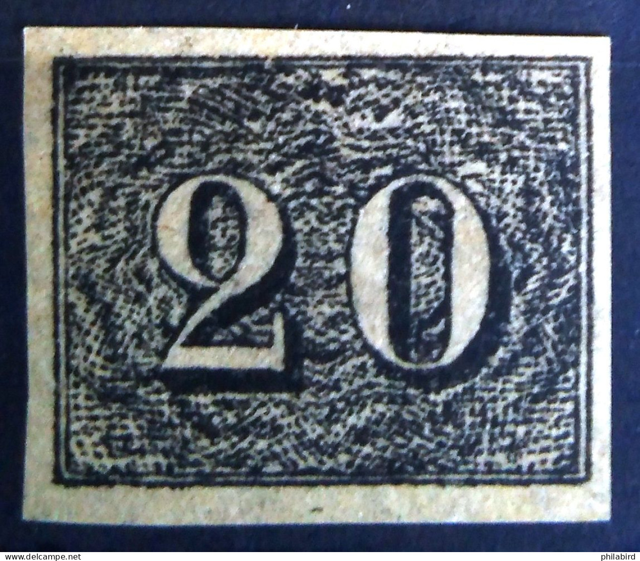 BRESIL                          N° 12                         NEUF* - Unused Stamps