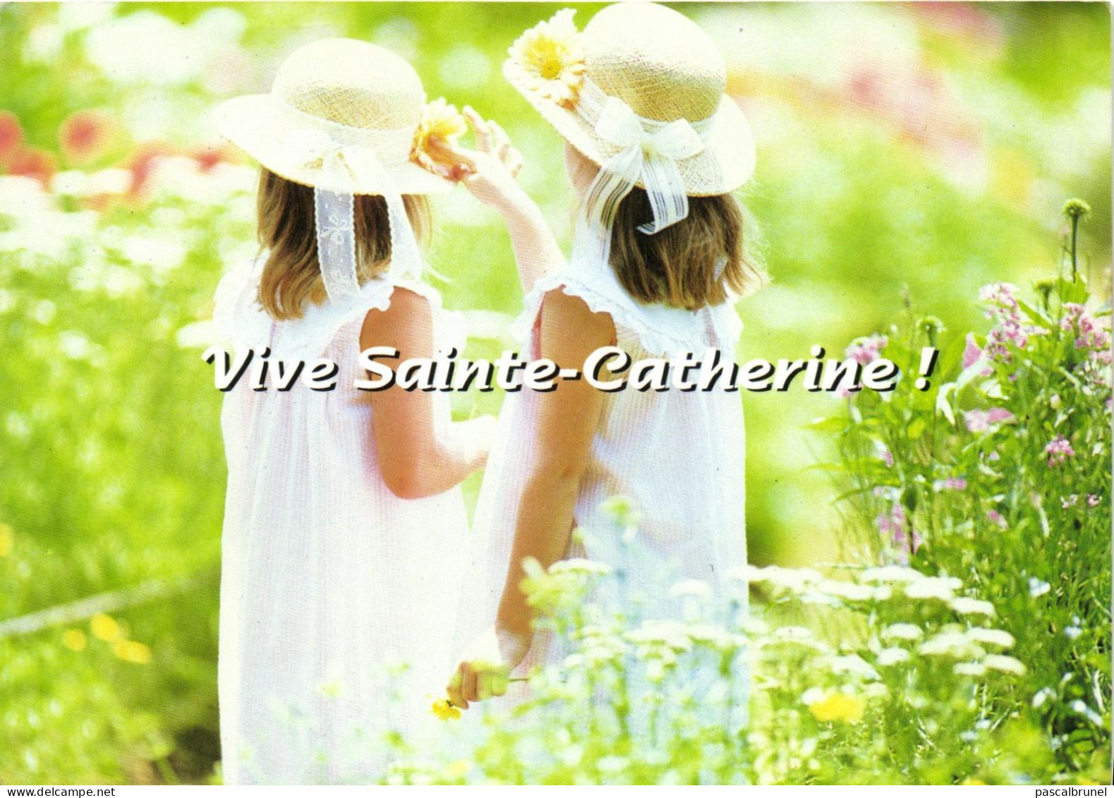 VIVE SAINTE CATHERINE ! - COLOR BOX DIAPHOR - CARTENFOLIES - Sainte-Catherine