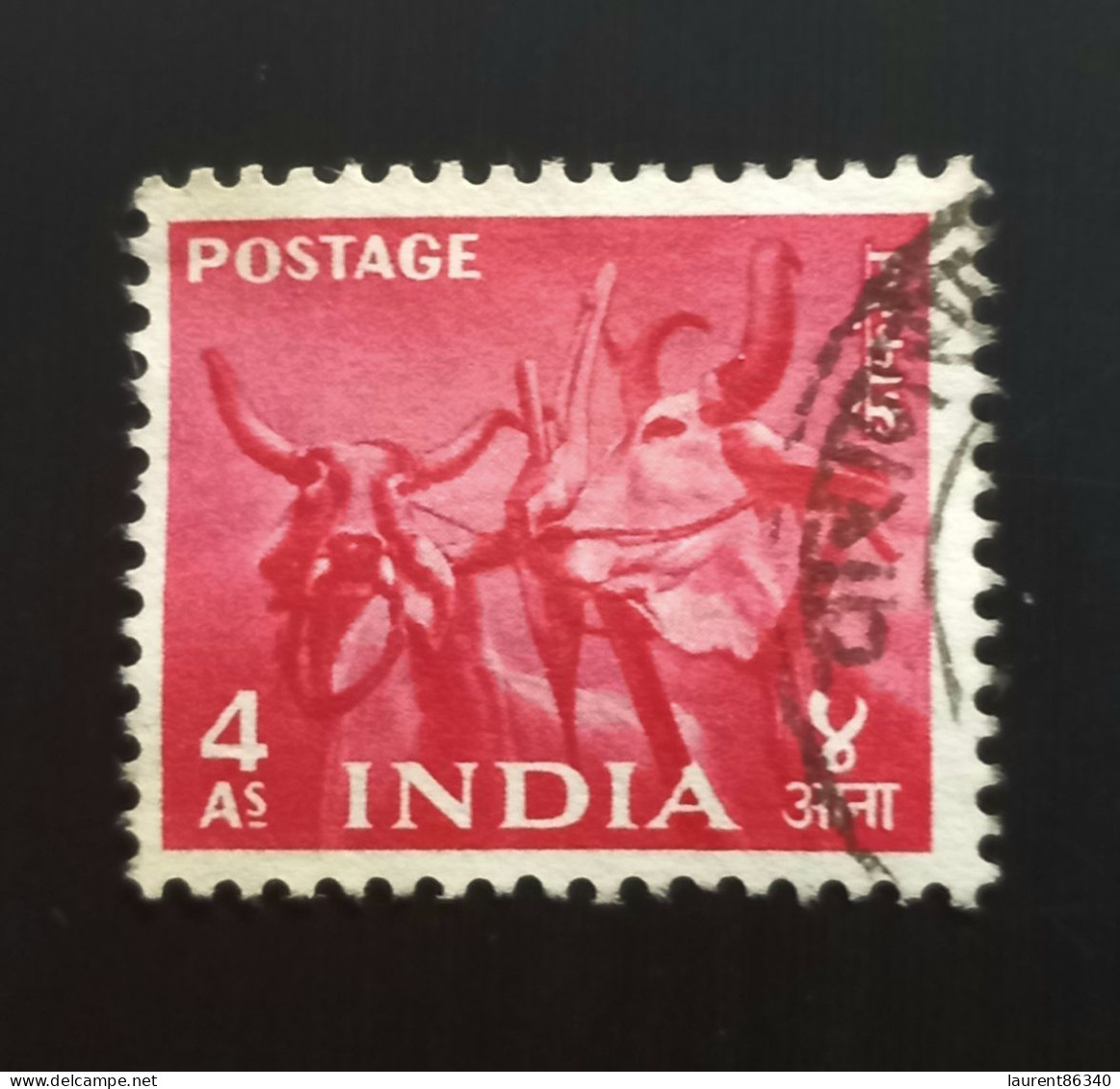 INDE 1955 Definitive 1955 - Five Year Plan, Drawn Oxen - 4A Oblitéré - Usati