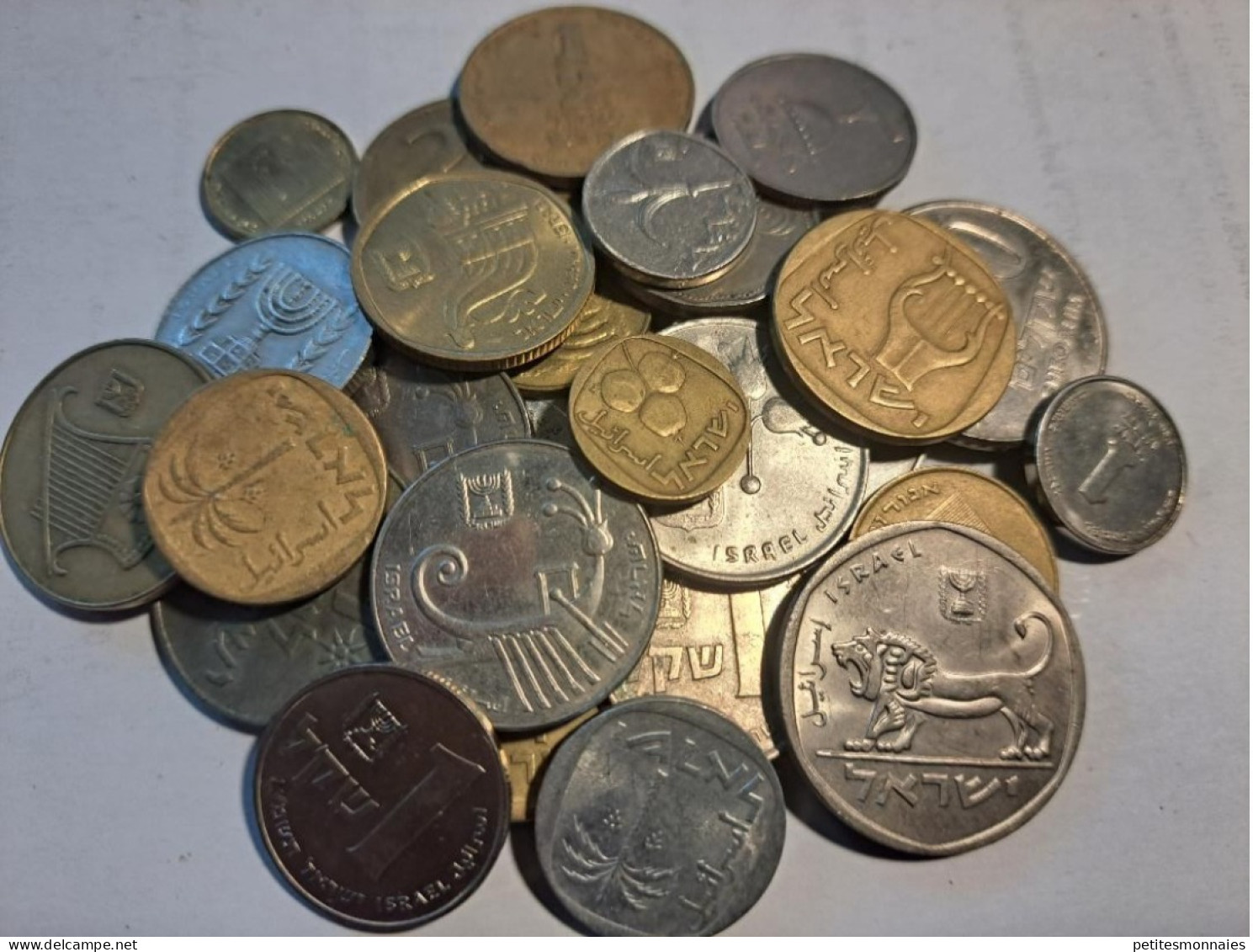 ISRAEL      Lot De 30  Monnaies  ( 335 ) - Alla Rinfusa - Monete