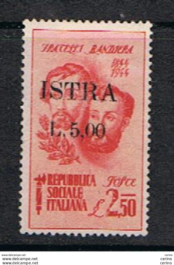 OCCUPAZ. JUGOSLAVA  DELL' ISTRIA:  1945  SOPRASTAMPATO  -  £.5/2,50  CARMINIO  S.G. -  A. DIENA + LONGHI  -  SASS. 33 - Joegoslavische Bez.: Istrië