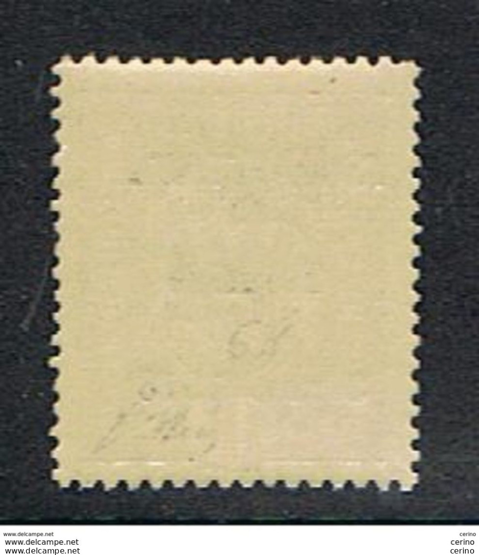 TRENTINO - ALTO  ADIGE:  1918  SOPRASTAMPATO  -  1K. ROSA  GIALLO  N. -  G. OLIVA  -  SASS. 15  -  BBB - Occ. Autrichienne