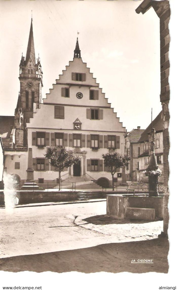 DAMBACH-LA-VILLE, L'Hôtel De Ville (photo Véritable) - Dambach-la-ville