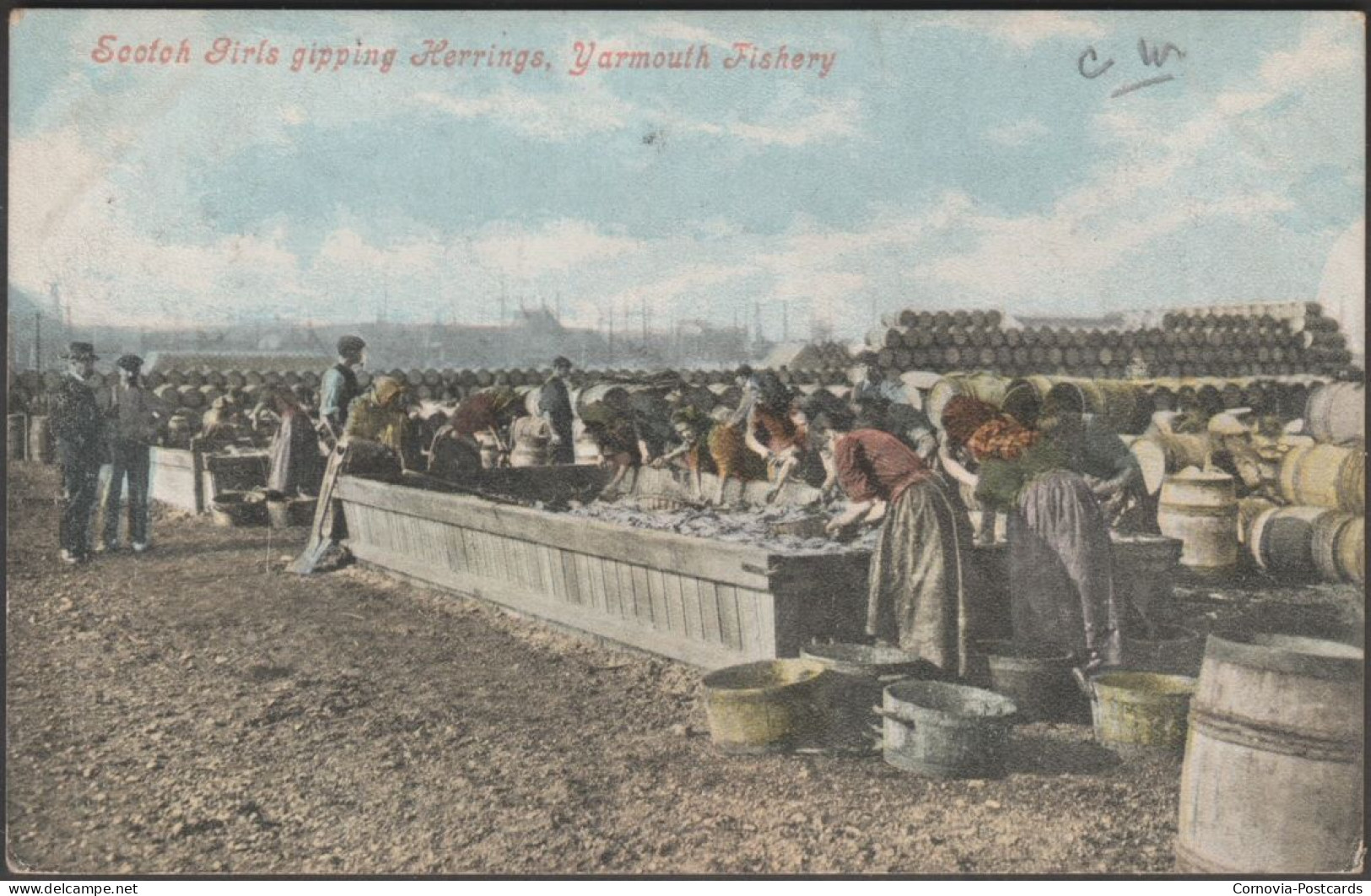 Scotch Girls Gipping Herrings, Yarmouth Fishery, 1904 - Valentine's Postcard - Great Yarmouth