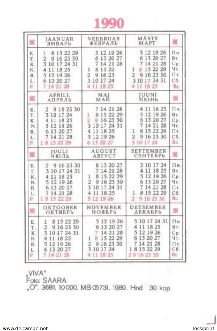 Pocket Calendar, VIVA, Fruits, Apples, Tomatoes, Onion, 1990 - Small : 1981-90