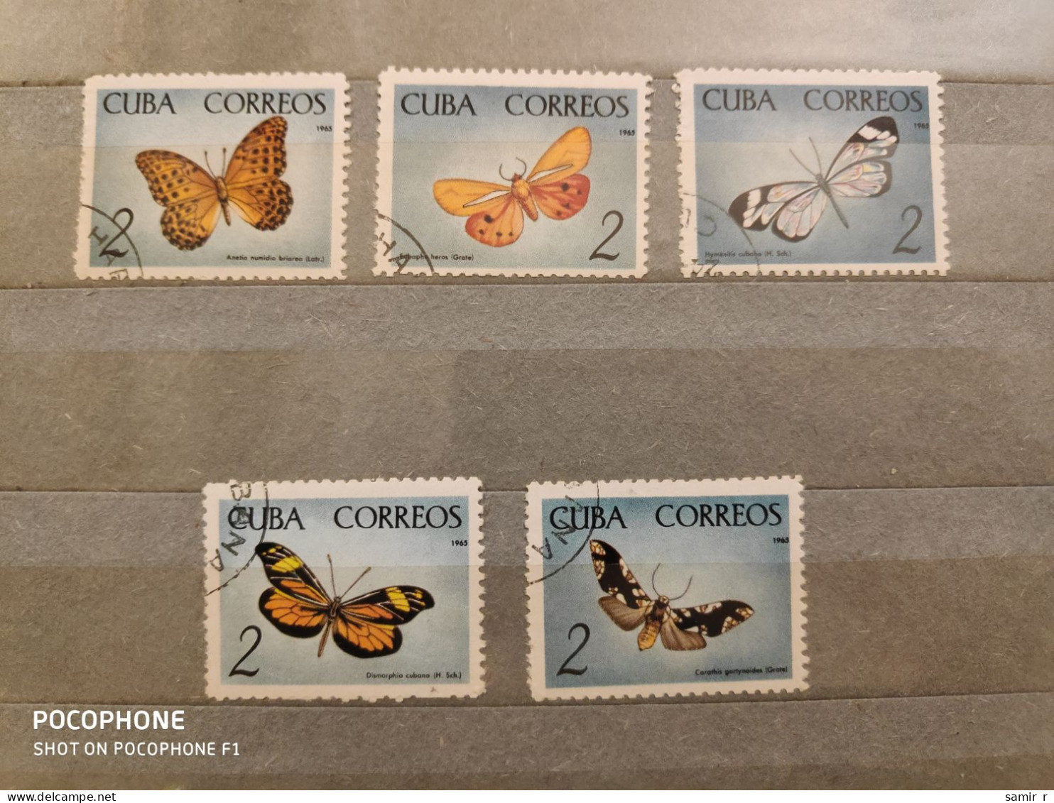 1965 Cuba Butterflies (F26) - Usati