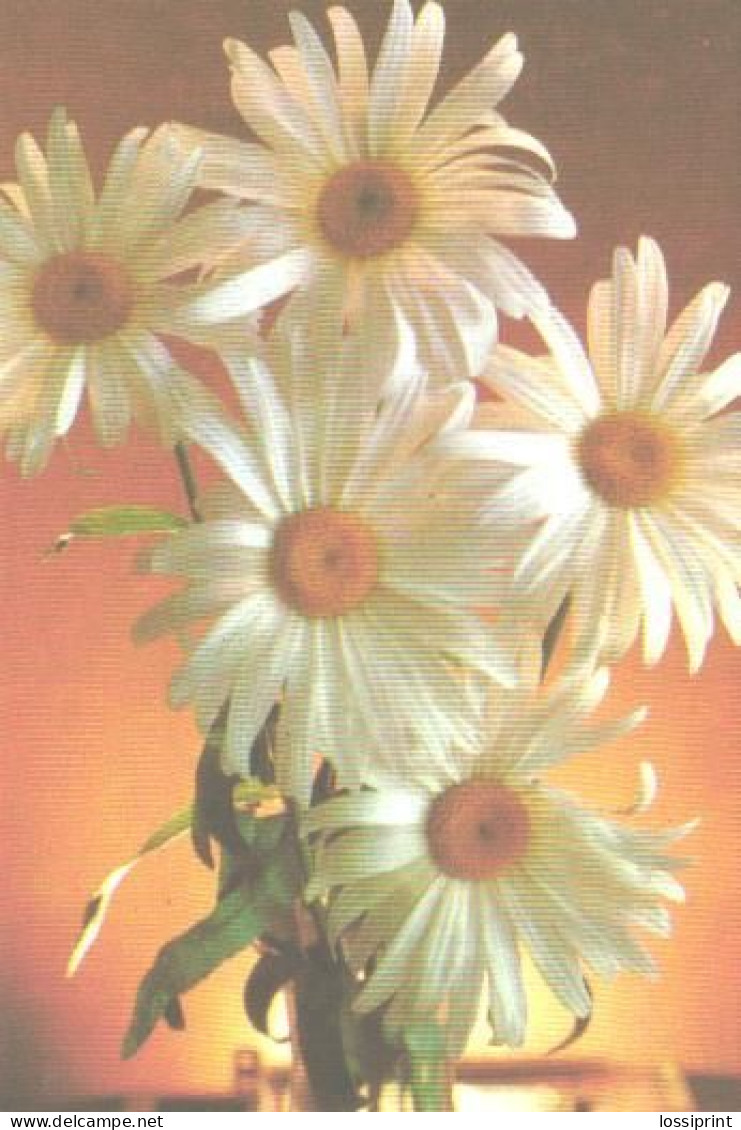 Pocket Calendar, Flowers, Daisy, 1990 - Small : 1981-90