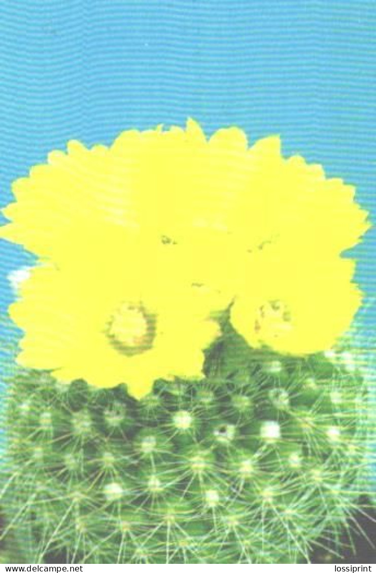 Pocket Calendar, Cactus With Blossoms, 1990 - Small : 1981-90