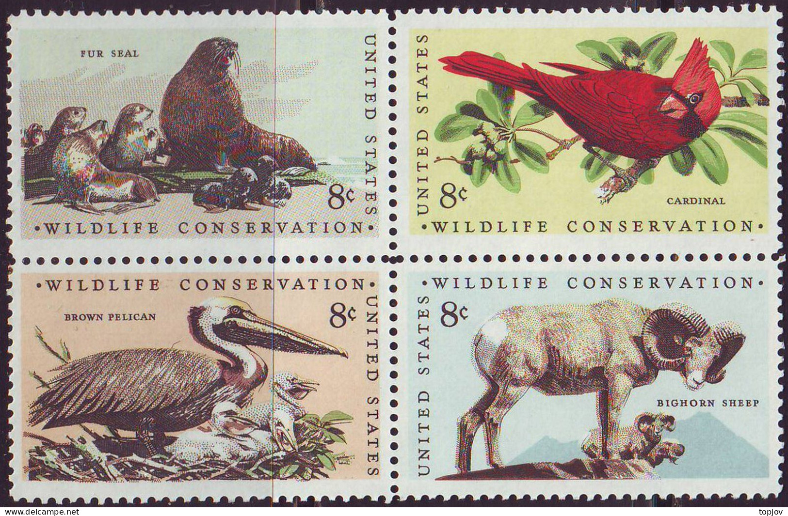 USA - BIRDS  PELICAN CARDINAL  - **MNH - 1979 - Pelikane