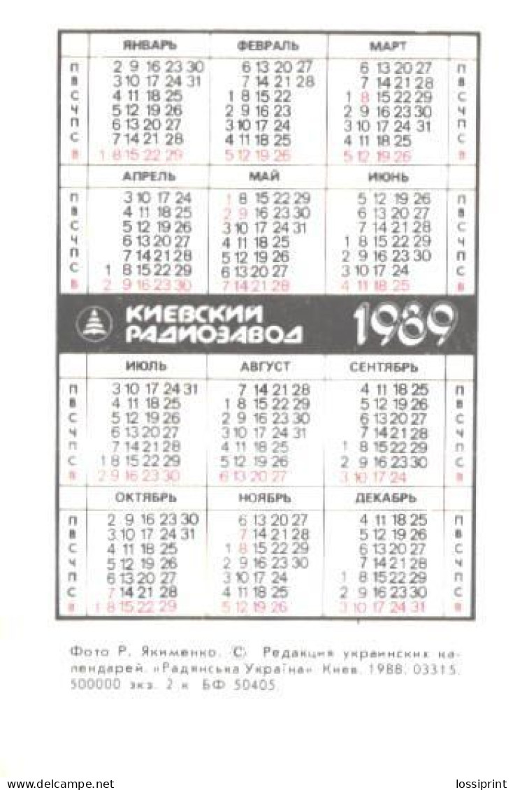 Pocket Calendar, Ukraine, TV-s, Kids In National Costumes, 1989 - Small : 1981-90