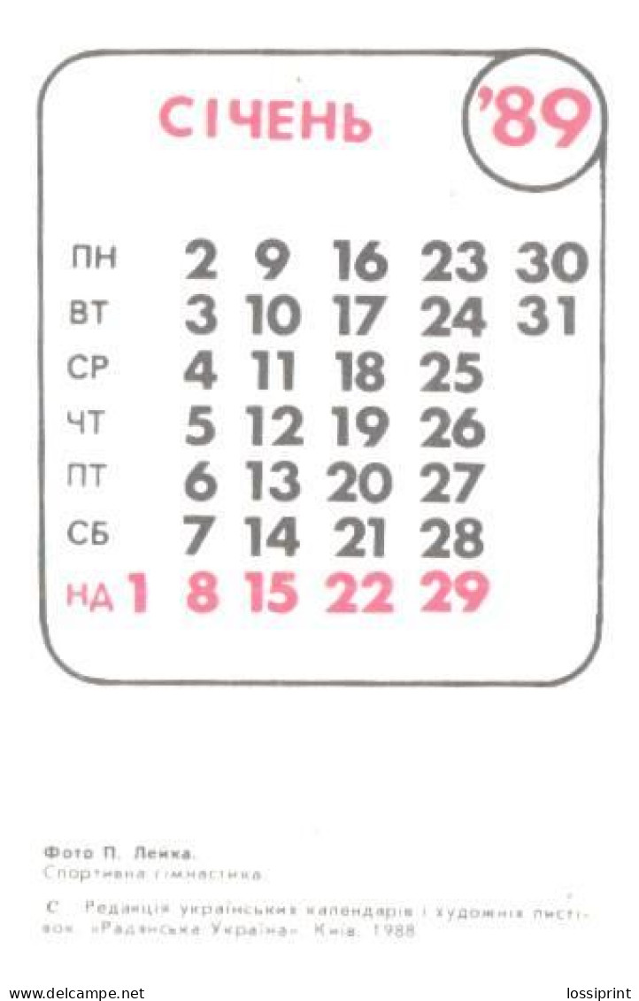 Pocket Calendar, Ukraine, Sport Calendar, Gymnastic, 1989 - Small : 1981-90