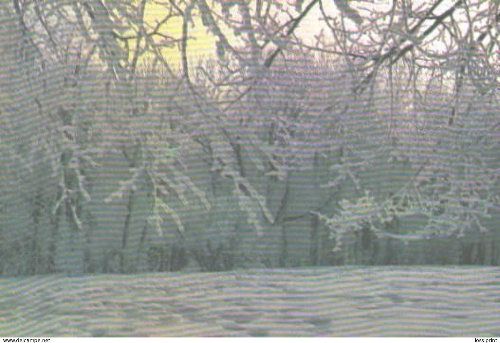 Pocket Calendar, Winter View, 1989 - Small : 1981-90