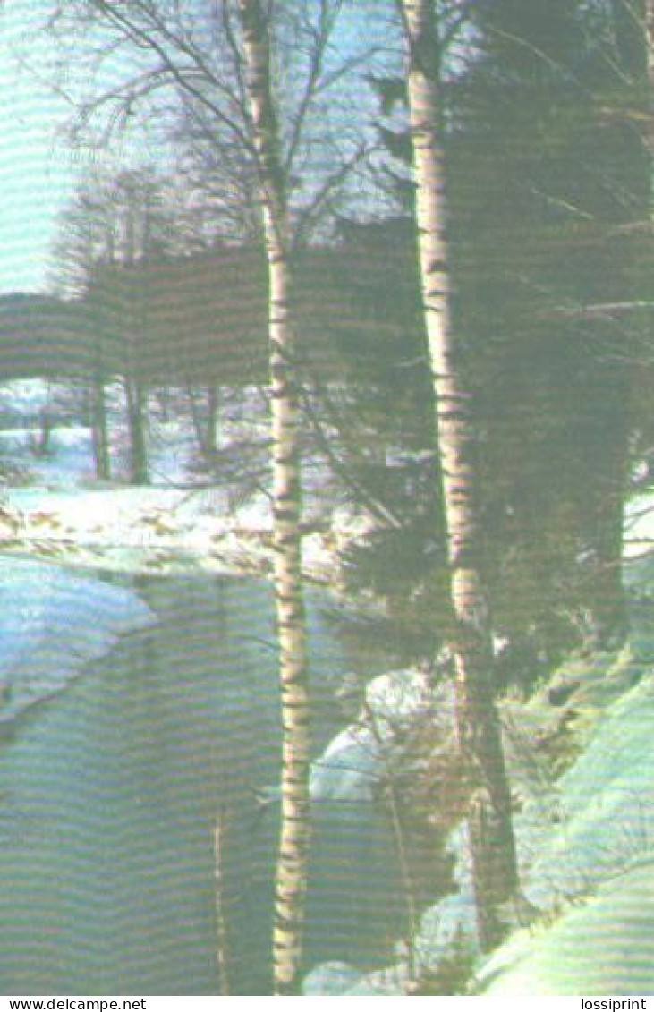 Pocket Calendar, Winter View, 1989 - Small : 1981-90