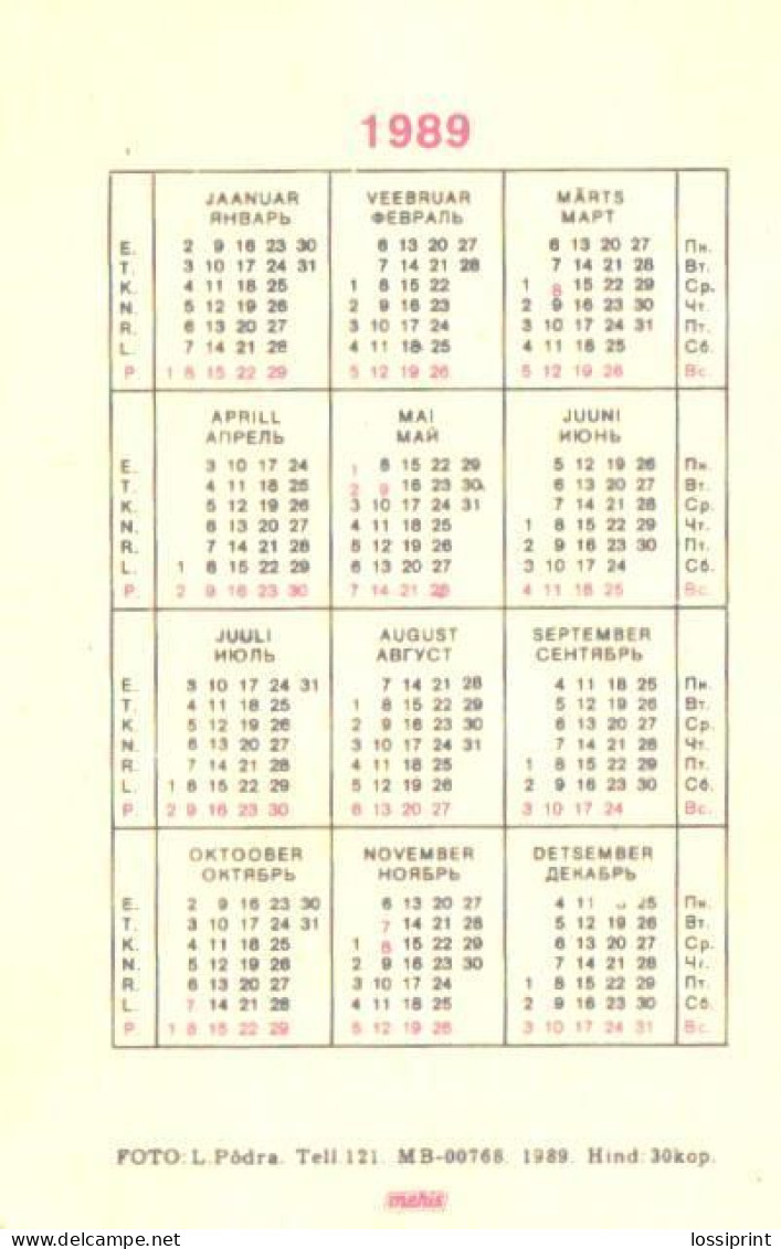 Pocket Calendar, Estonia:Man And Lady With Snake, 1989 - Small : 1981-90