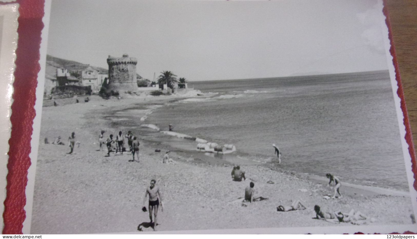 Photo  Snapshot -  Lot De 4 PHOTOS  SANTA-MARIA-di-LOTA - MIOMO - Bar, Restaurant Des Orangers ...CIRCA 1955 - Andere & Zonder Classificatie