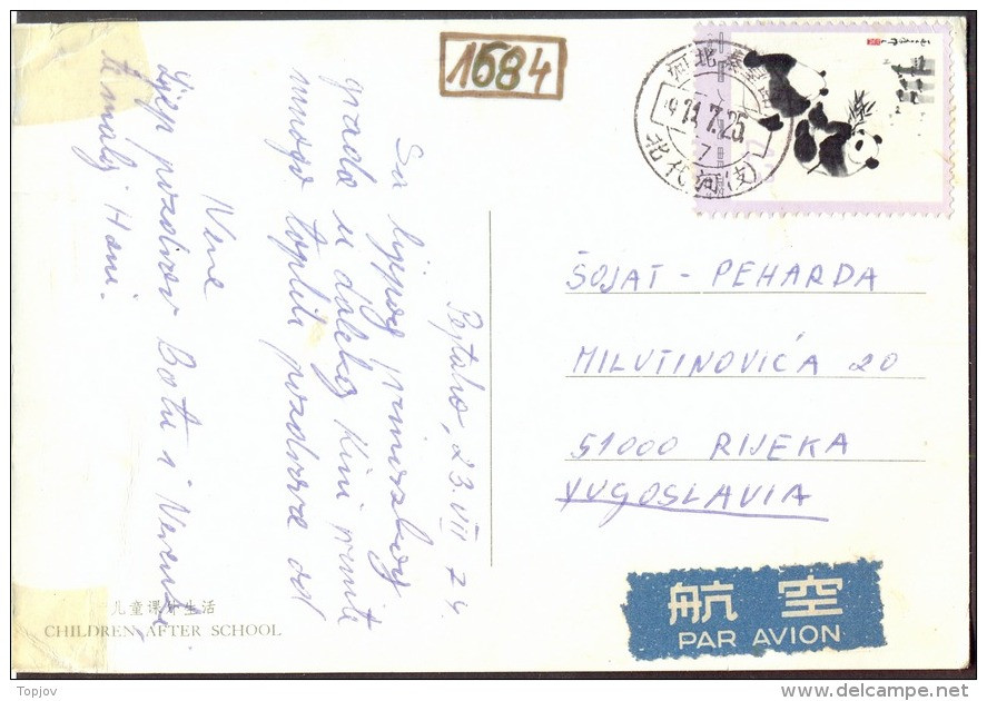 CHINA - KINA - WWF  PANDA  43 Fen On Airmail Card - 1973 - Briefe U. Dokumente