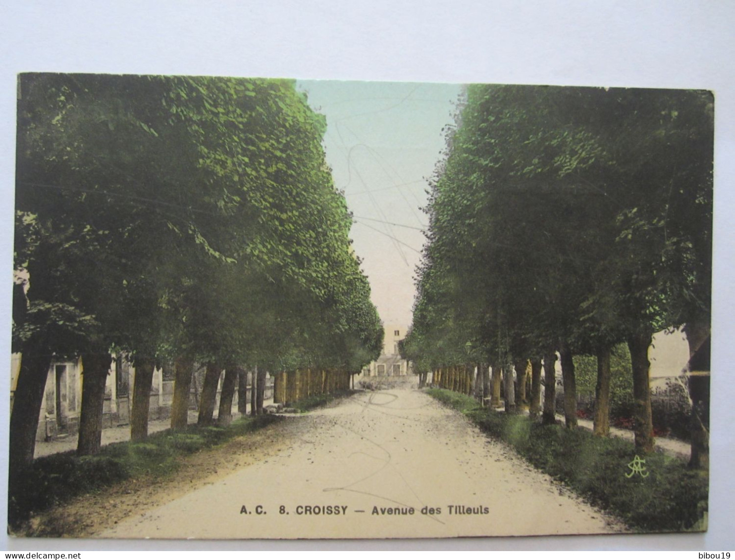 CPA CROISSY AVENUE DES TILLEULS - Croissy-sur-Seine