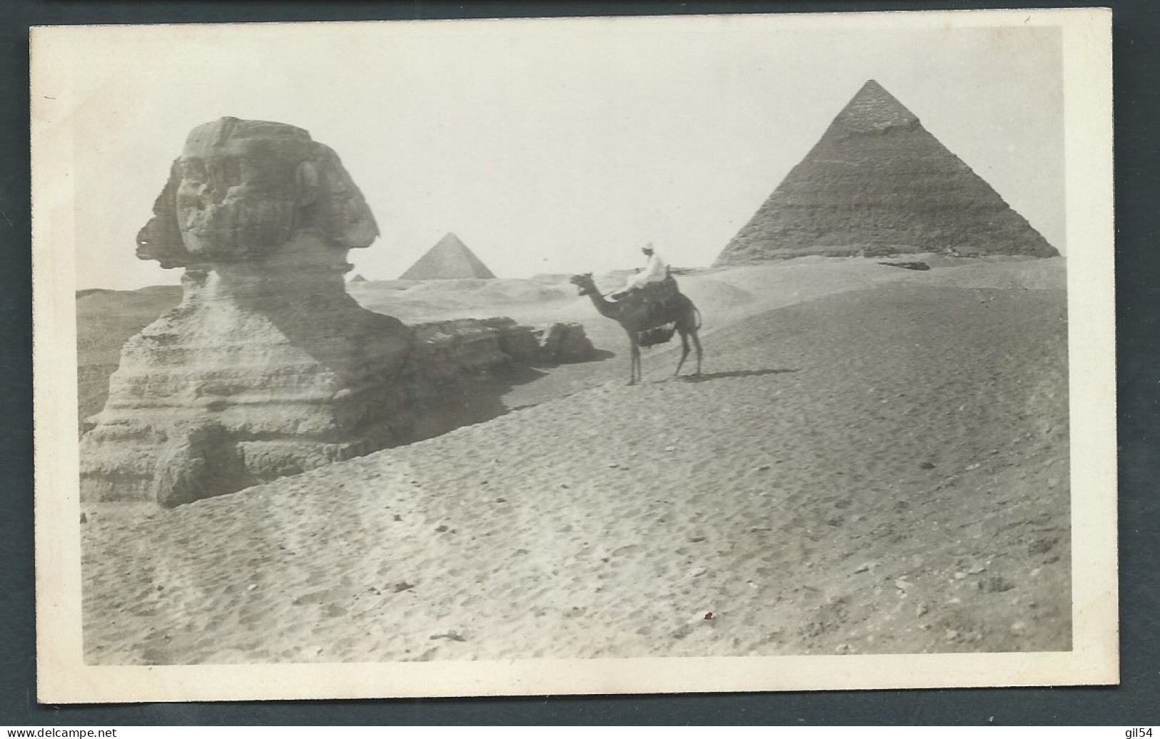 Cavalier Sur Un Chameau , Sphinx , Pyramide , Cpa Photo  - Hap 20015 - Sphinx