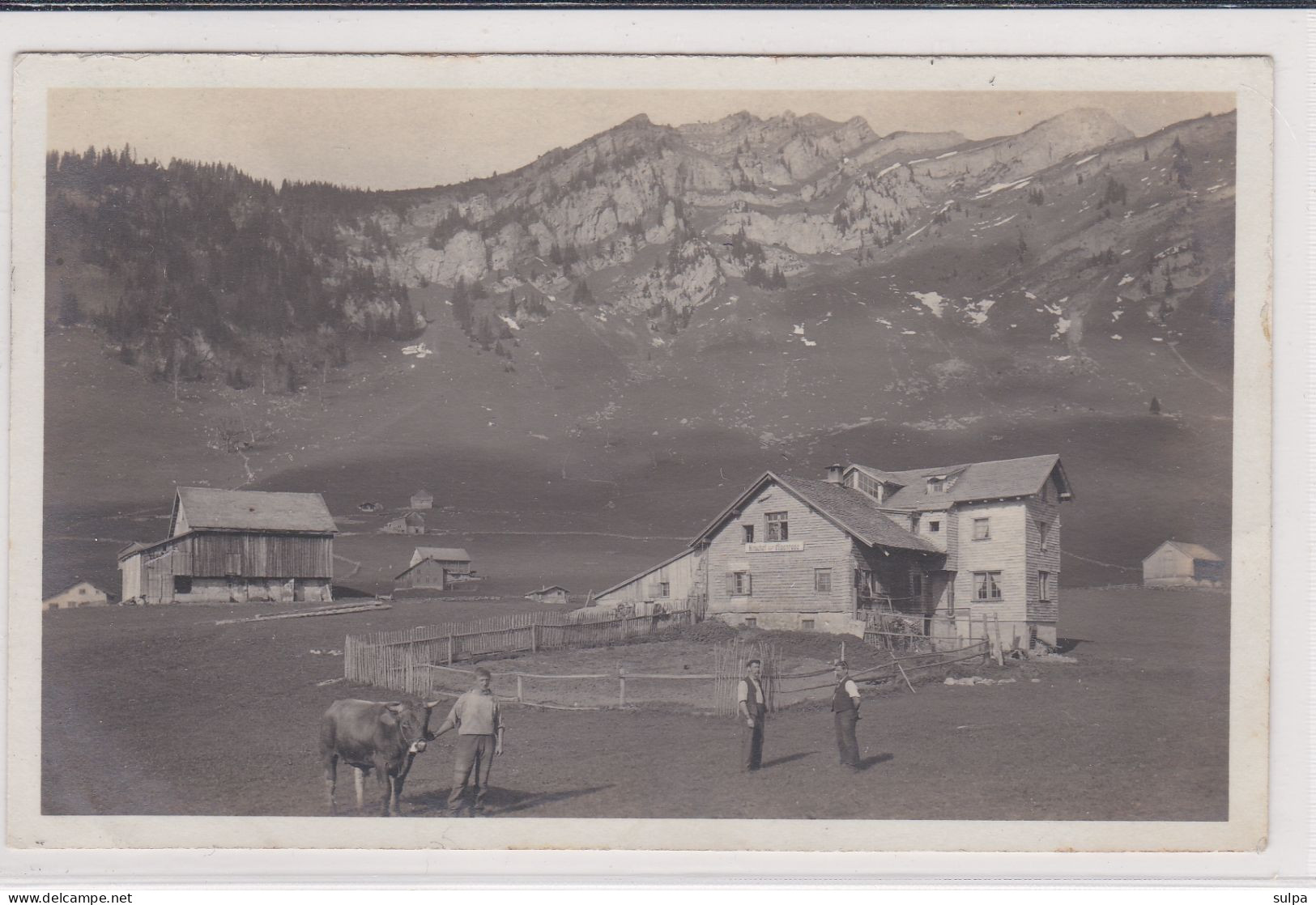 Müllernalp Bei Mollis, Belebt,Landwirt, Kuh. Fotokarte - Mollis