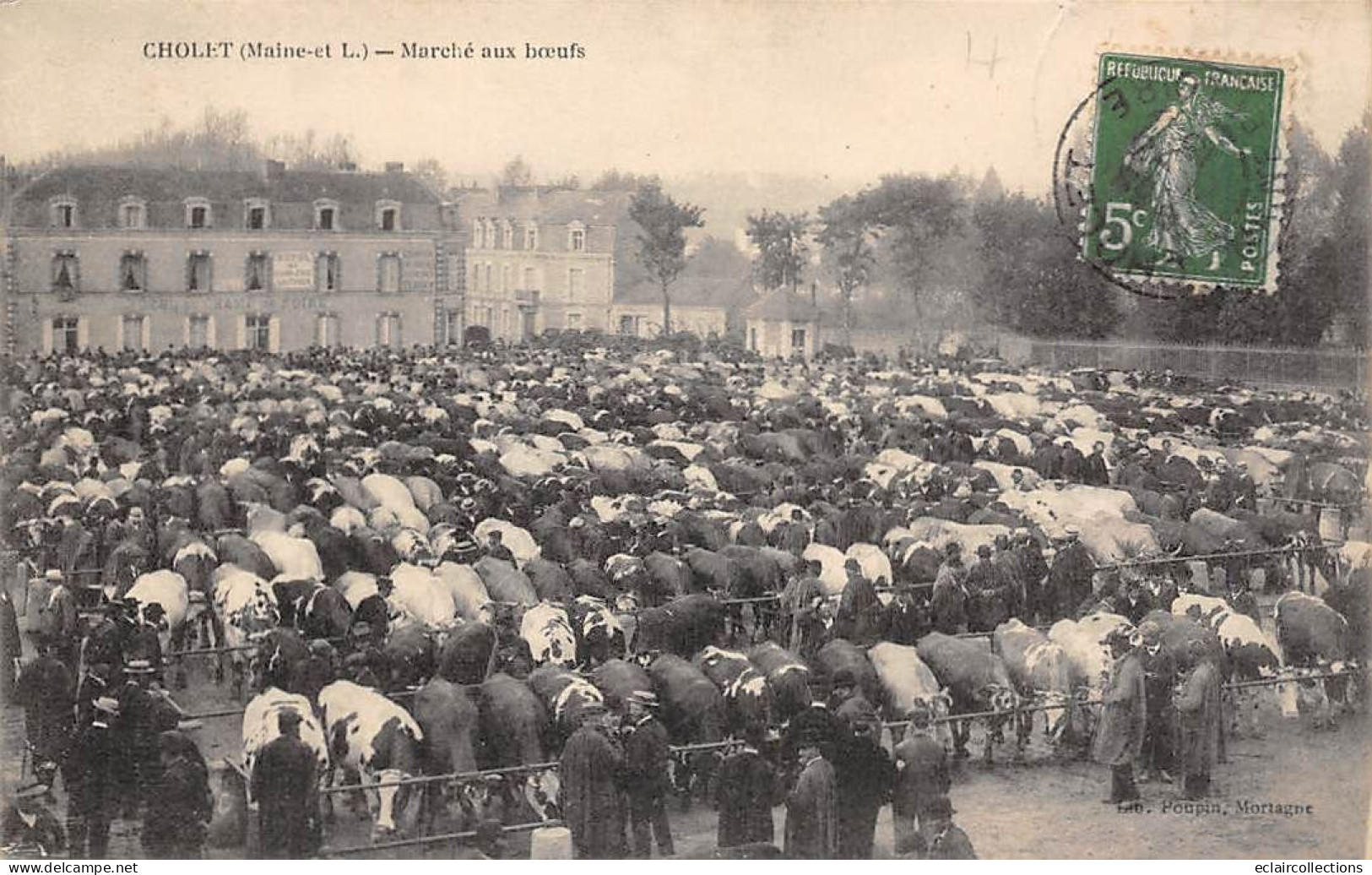 Cholet         49          Les Marchés  ..    Le   Marché Aux Boeufs   -  3  -  .  (Voir Scan) - Cholet