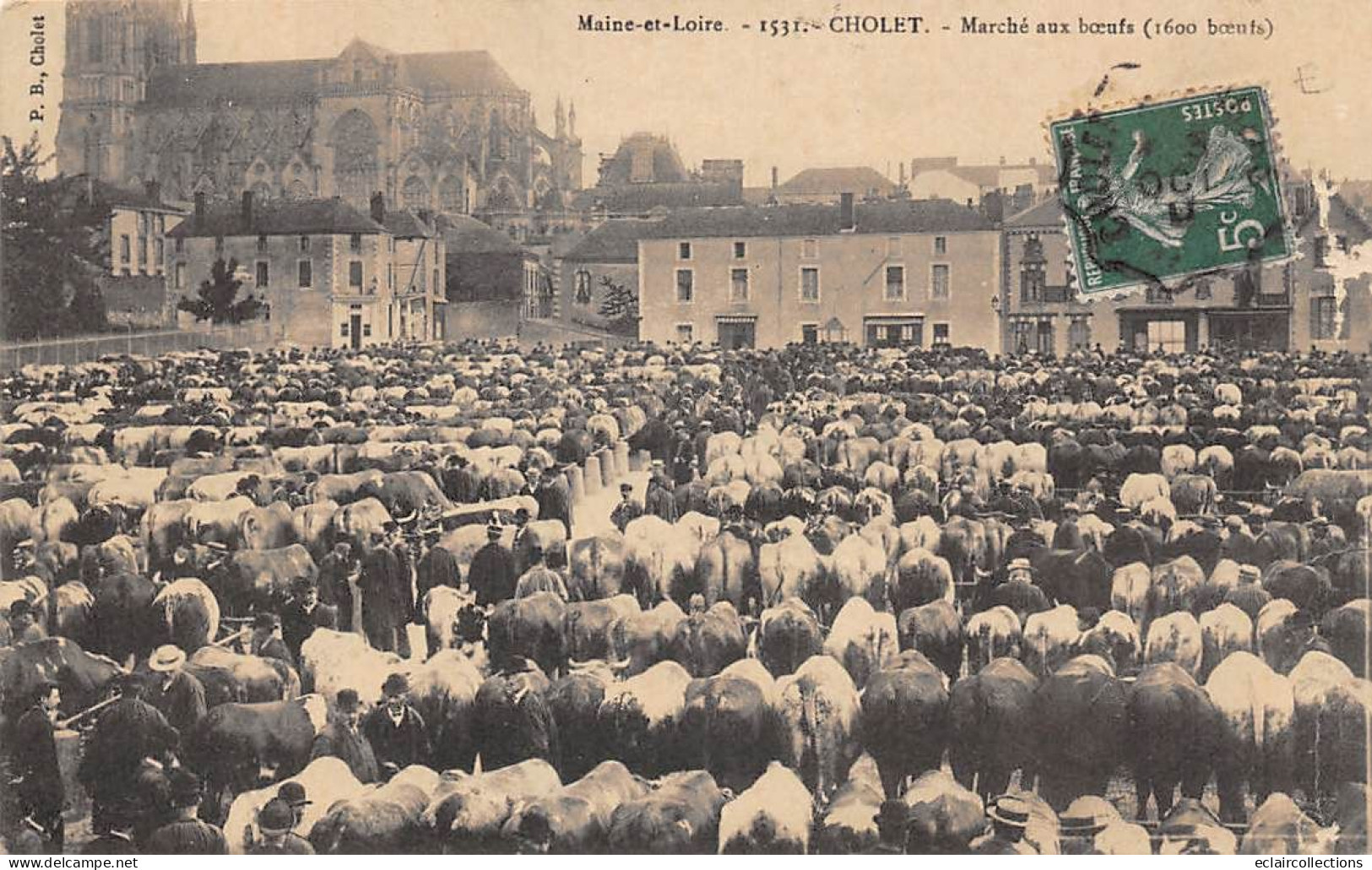 Cholet         49          Les Marchés  ..    Le   Marché Aux Boeufs. 1600 Boeufs      N°1531 .  (Voir Scan) - Cholet