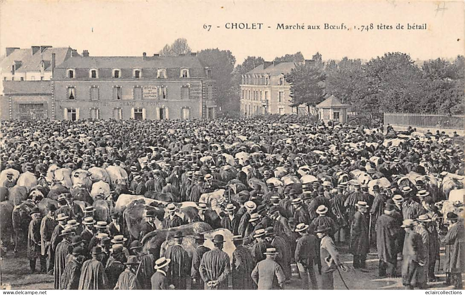 Cholet         49          Les Marchés  ..    Le   Marché Aux Boeufs 1748 Têtes De Bétails        N°67.  (Voir Scan) - Cholet