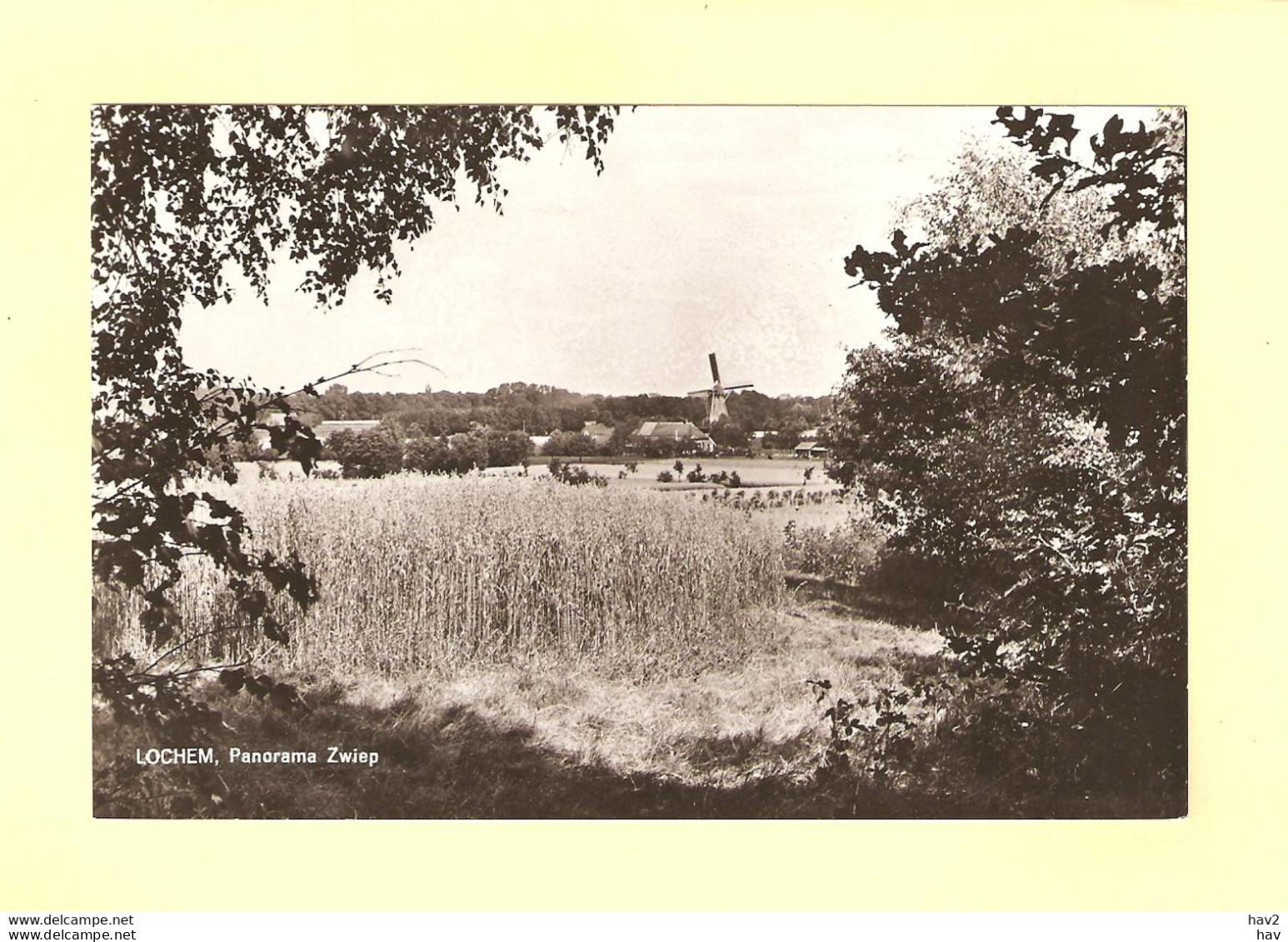 Lochem Panorama Zwiep Met Molen RY31577 - Lochem