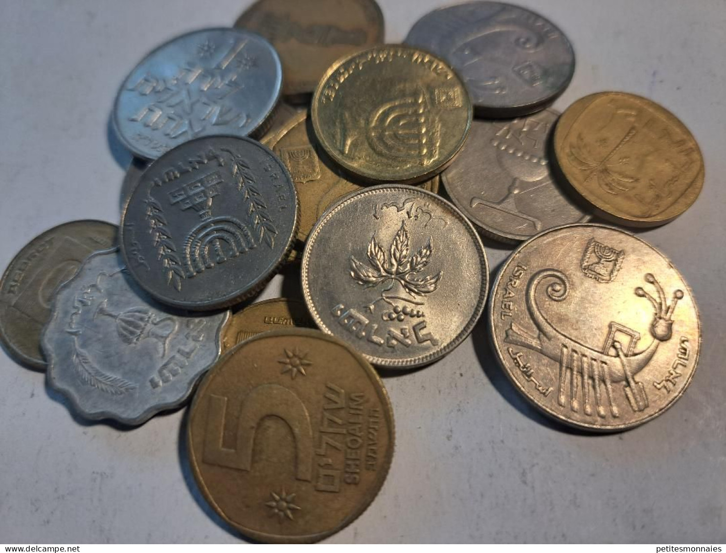 ISRAEL     Lot De 18 Monnaies ( 365 ) E - Alla Rinfusa - Monete