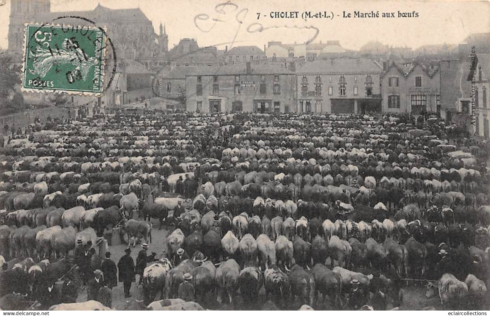 Cholet         49          Les Marchés  .. Le Marché Aux Boeufs   N°7      (Voir Scan) - Cholet