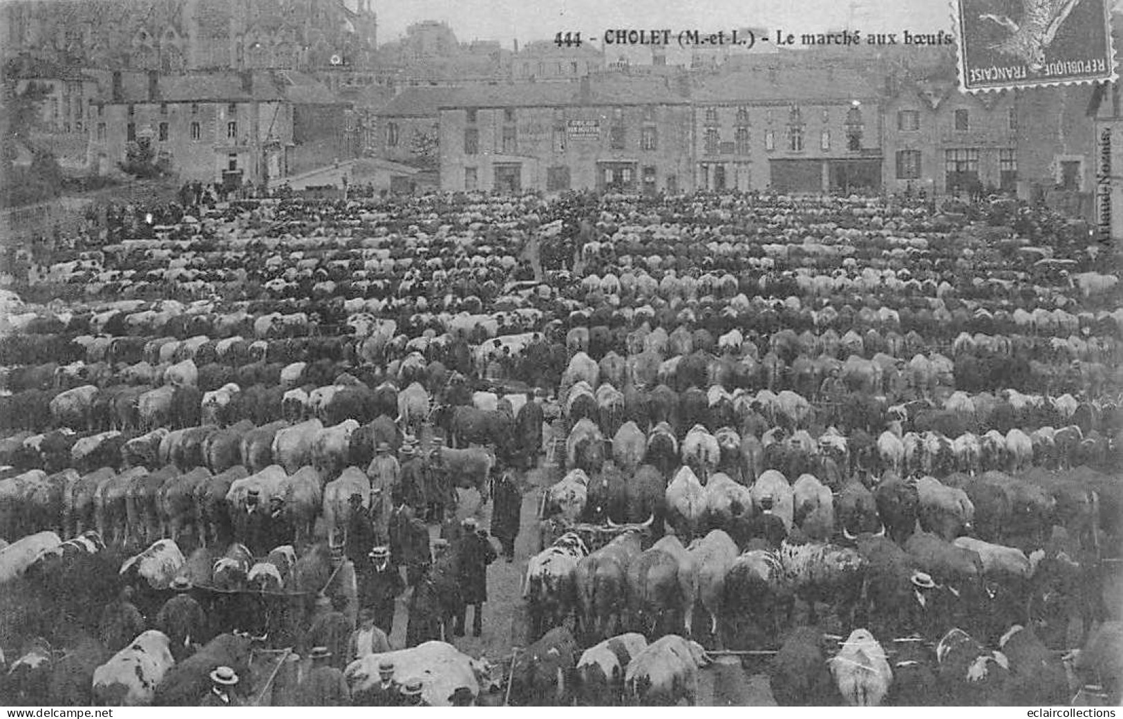 Cholet         49          Les Marchés  .. Le Marché Aux Boeufs   N° 444    (Voir Scan) - Cholet