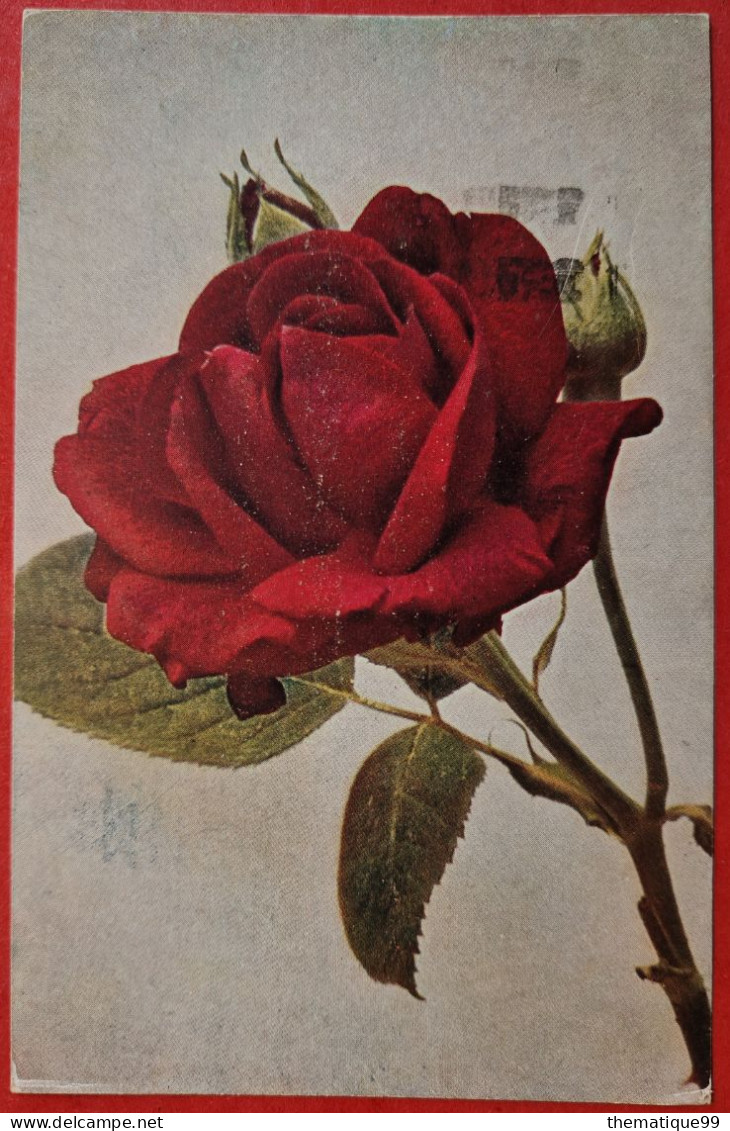 Entier Postal Suisse Timbré Sur Commande (1922) Thème Rose, Yoghurt, Sang, Diabète, Maladies ... - Roses