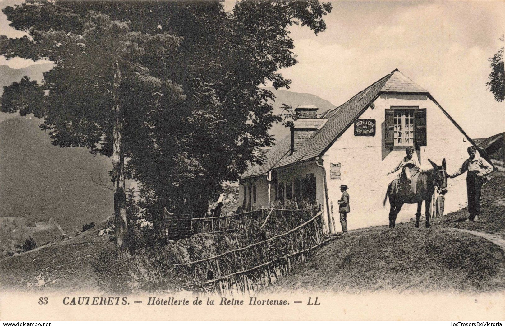 FRANCE - Cauterets - Hôtellerie De La Reine Hortense - Âne - Carte Postale Ancienne - Cauterets