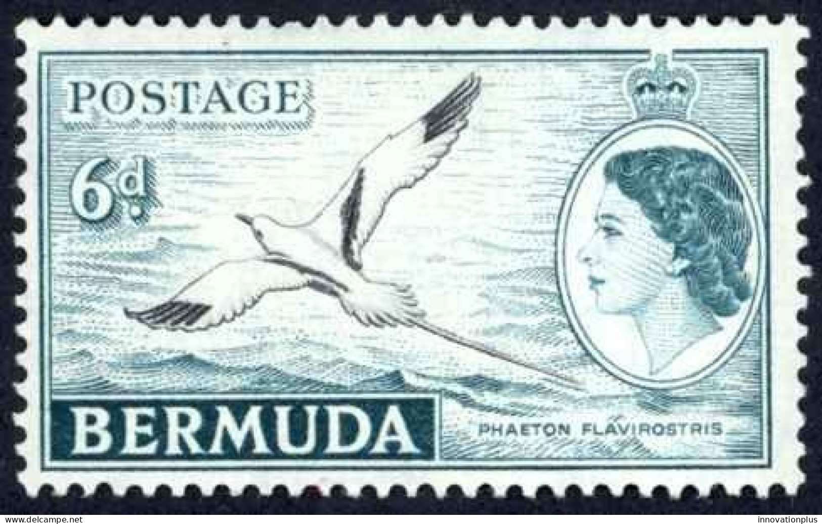 Bermuda Sc# 152 MH 1953-1958 6p Bird - Bermuda