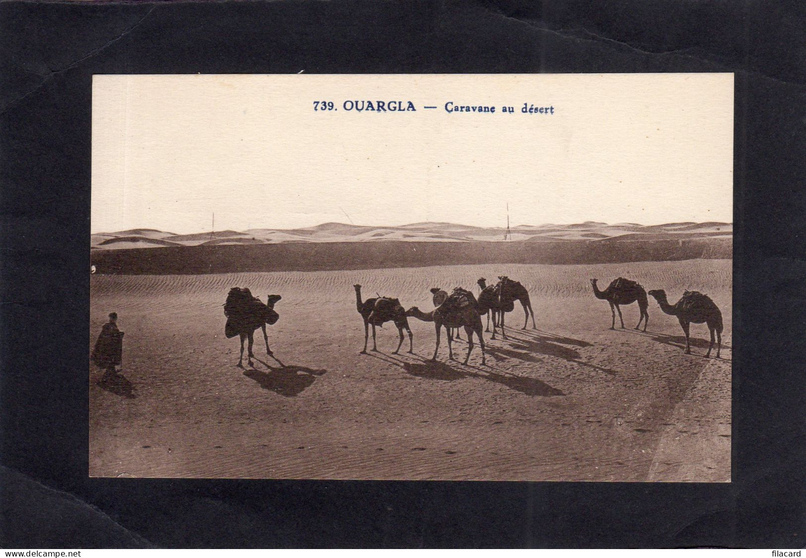 123965          Algeria,   Ouargla,   Caravane  Au  Desert,   NV - Ouargla