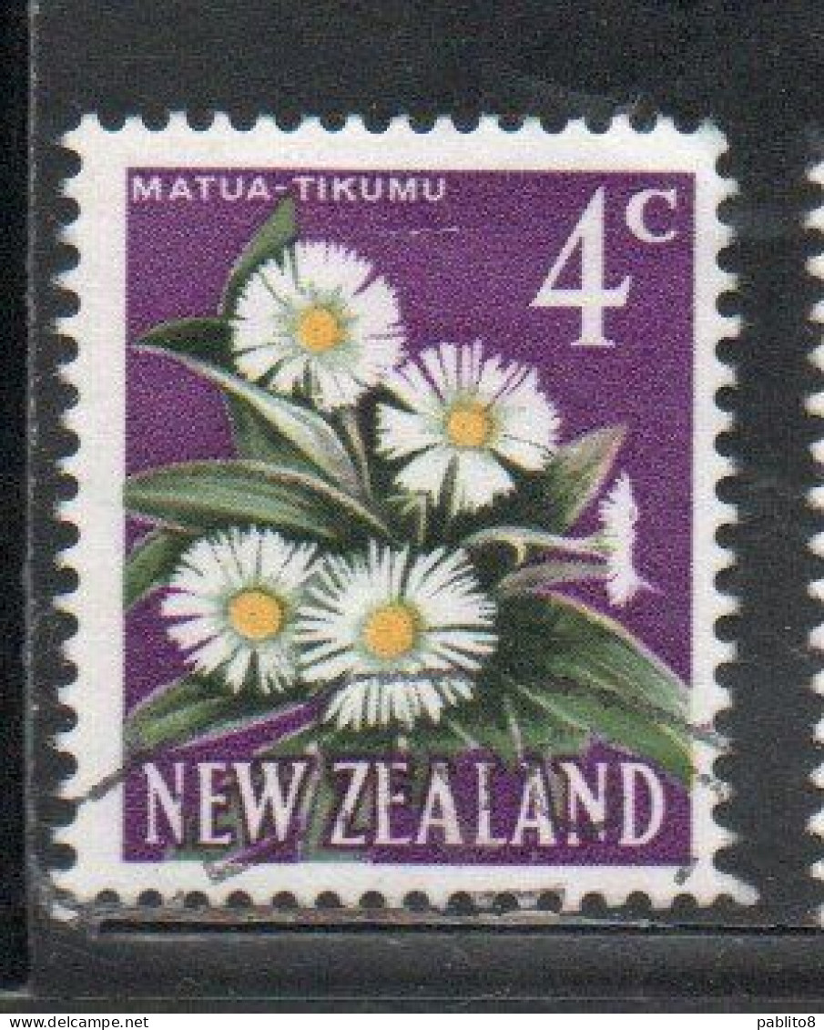 NEW ZEALAND NUOVA ZELANDA 1967 1970 FLORA MOUNTAIN DAISY FLOWER 4c USED USATO OBLITERE' - Gebruikt