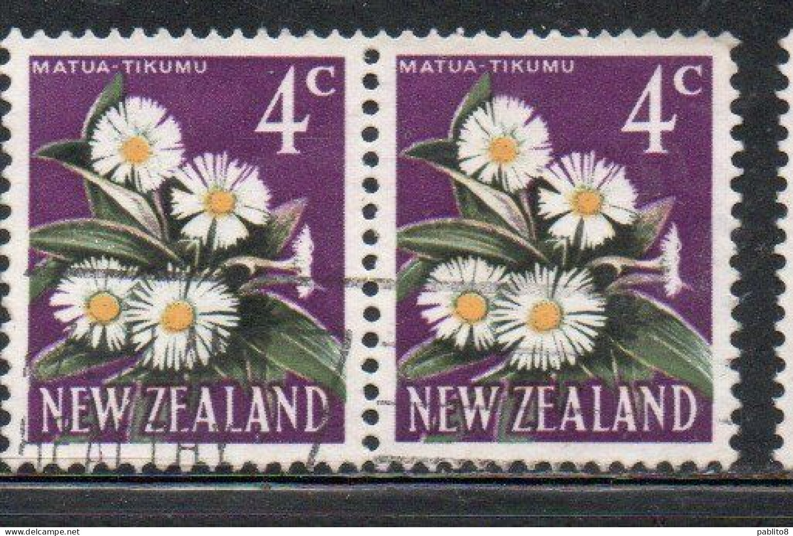 NEW ZEALAND NUOVA ZELANDA 1967 1970 FLORA MOUNTAIN DAISY FLOWER 4c USED USATO OBLITERE' - Used Stamps