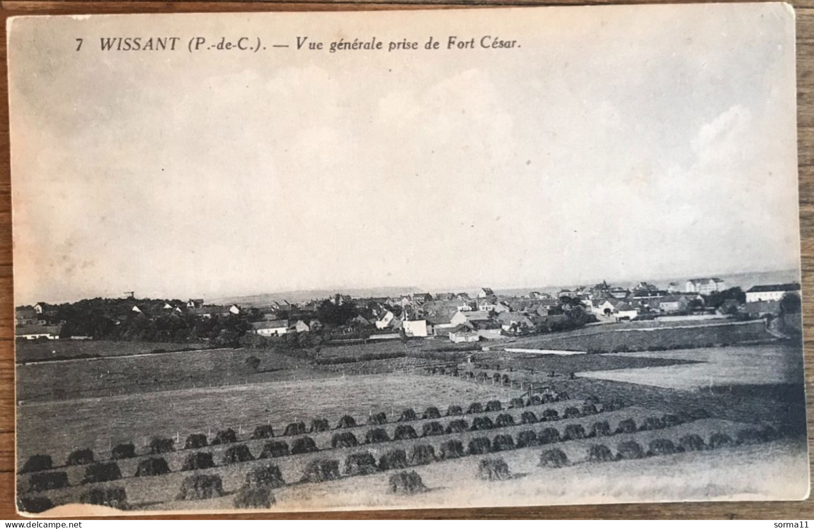 CPA WISSANT 62 Vue Générale Prise De Fort César - Wissant