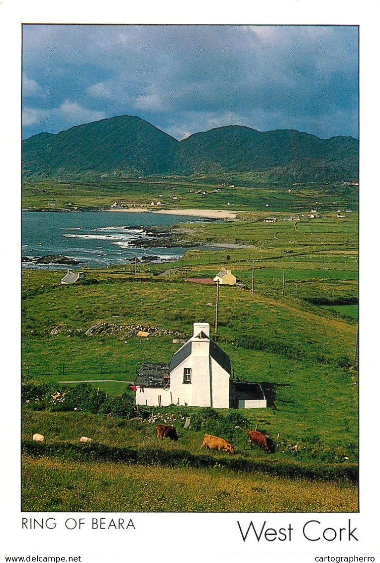 Ireland West Cork Ring Of Beara Peter Zoller Photo - Cork