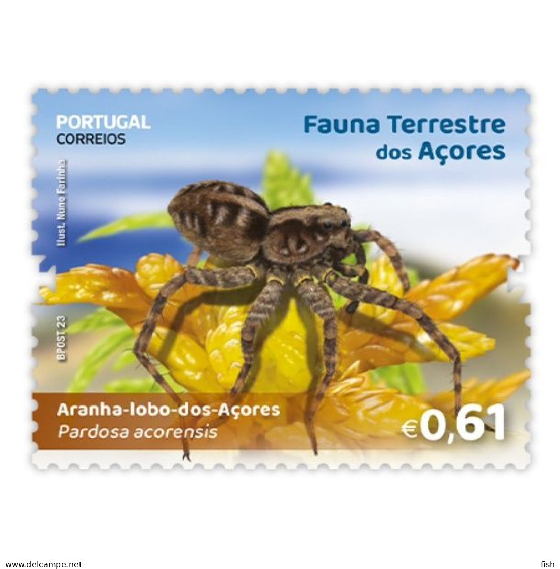 Portugal ** & Maximum Card, Azores Terrestrial Fauna, Azores Wolf Spider 2023 (97999) - Spiders