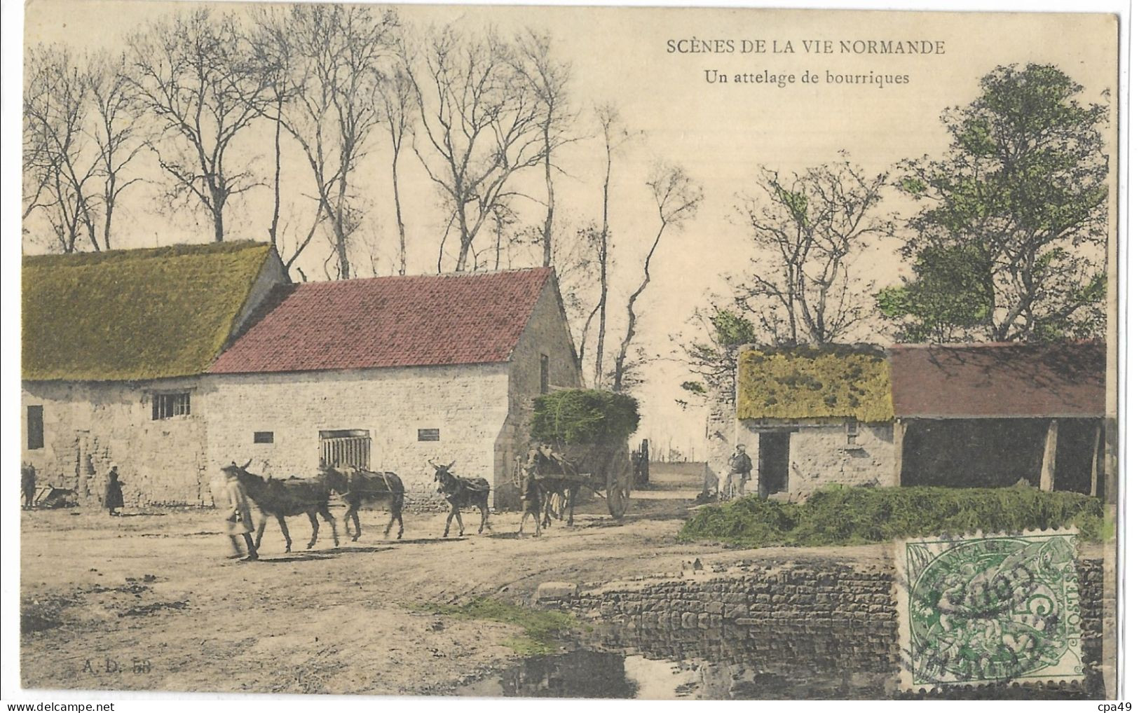 SCENE  DE  LA  VIE  NORMANDE  UN  ATTELAGE  DE  BOURRIQUES - Attelages