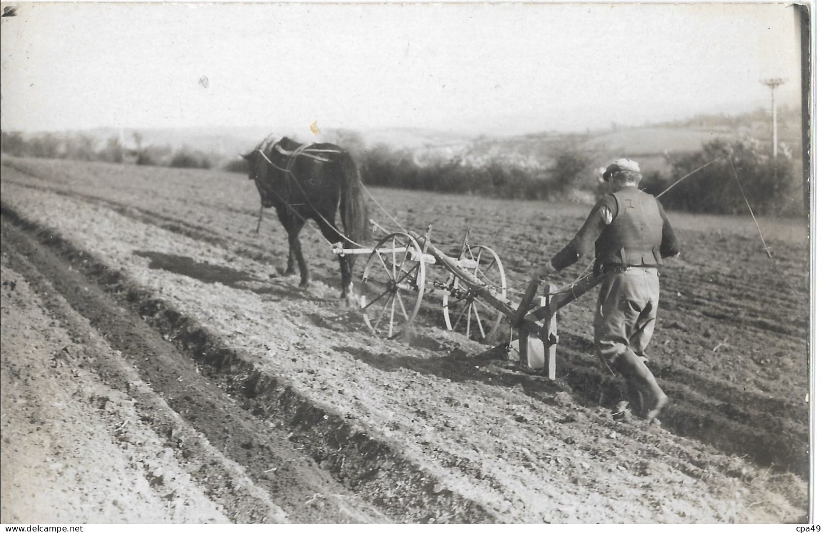 AGRICULTURE   CARTE  PHOTO  SCENE  DE  LABOURAGE - Landbouw