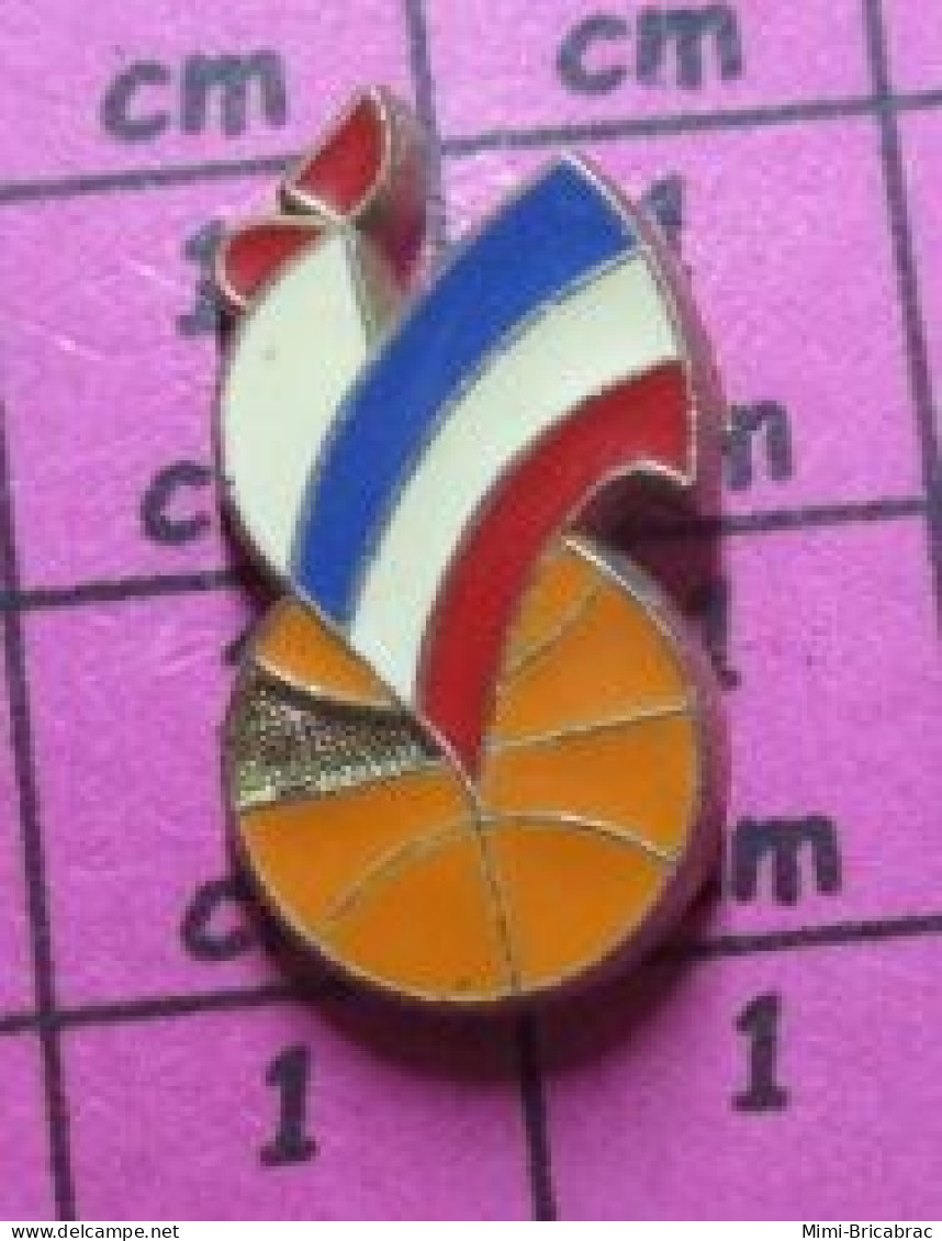 211c Pin's Pins / Beau Et Rare / SPORTS / BASKET-BALL FEDERATION FRANCAISE COQ TRICOLORE - Basketball