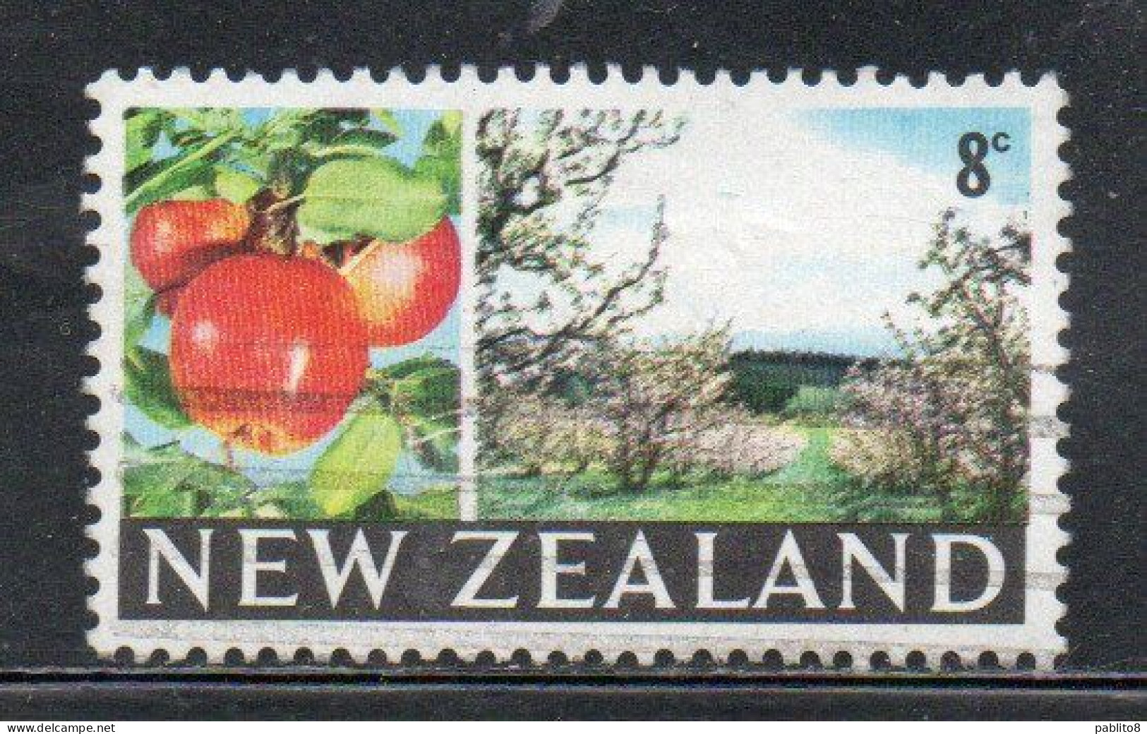 NEW ZEALAND NUOVA ZELANDA 1968 1969 APPLES AND ORCHARD 8c USED USATO OBLITERE' - Gebraucht