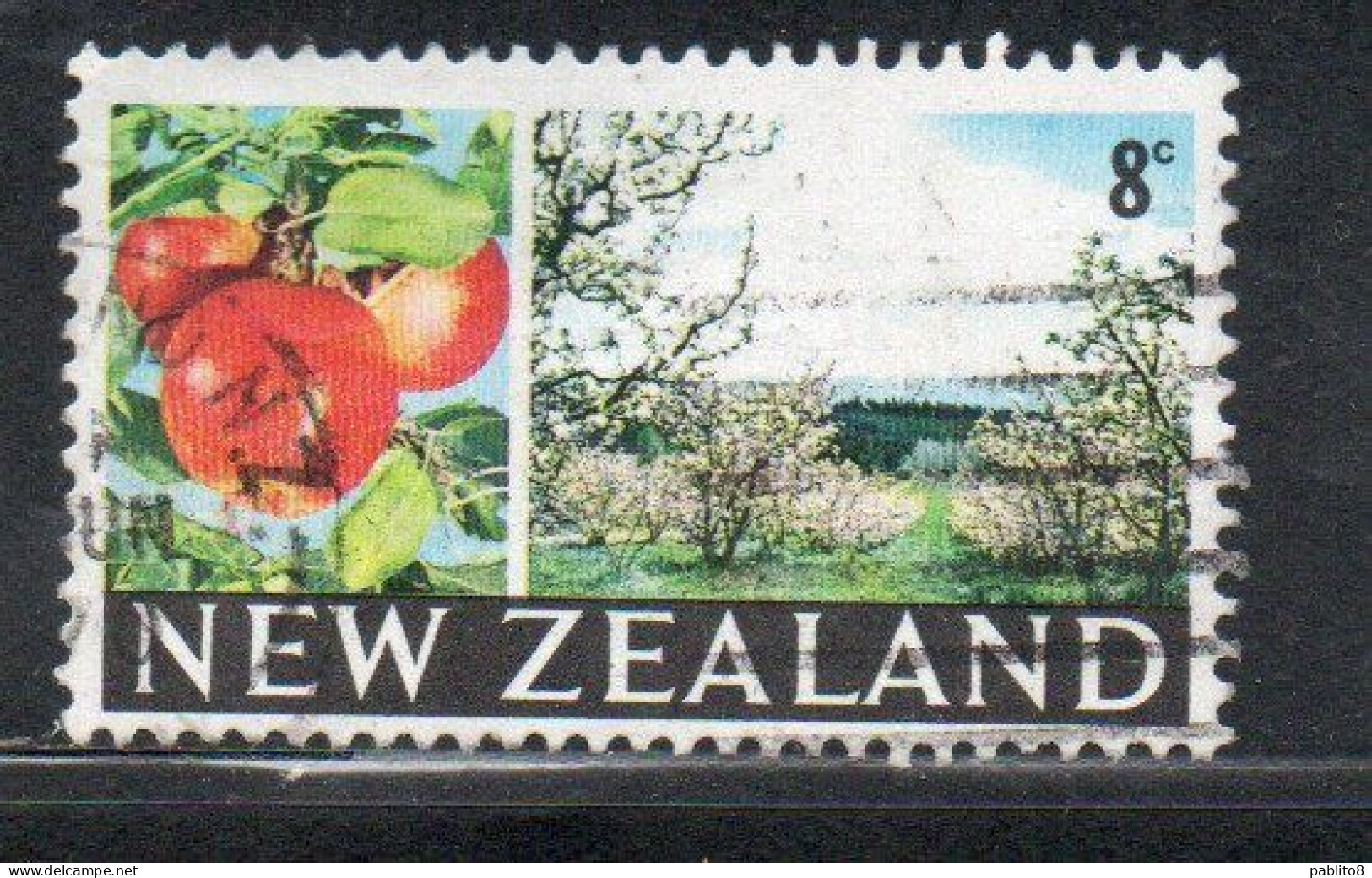 NEW ZEALAND NUOVA ZELANDA 1968 1969 APPLES AND ORCHARD 8c USED USATO OBLITERE' - Used Stamps