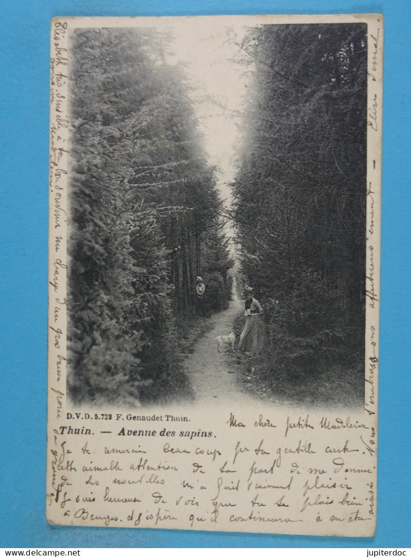 Thuin Avenue Des Sapins (D.V.D. 5723) - Thuin